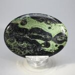 Kambaba Jasper Palmstone (Extra Grade) ~70x50mm
