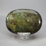 Labradorite Palmstone (Extra Grade) ~70x50mm