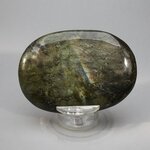 Labradorite Palmstone (Extra Grade) ~70x50mm