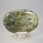 Labradorite Palmstone (Extra Grade) ~70x50mm