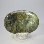 Labradorite Palmstone (Extra Grade) ~70x50mm