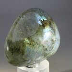 Labradorite Polished Stone ~ 50mm
