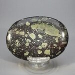 Lakelandite Palmstone (Extra Grade) ~70x50mm