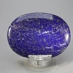 Lapis Lazuli Palmstone (Extra Grade)  ~70x50mm