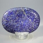 Lapis Lazuli Palmstone (Extra Grade)  ~70x50mm