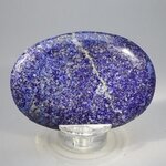 Lapis Lazuli Palmstone (Extra Grade)  ~70x50mm