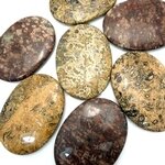 Leopard Skin Jasper Palm Stone ~70x50mm