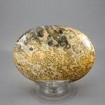 Leopard Skin Jasper Palmstone (Extra Grade) ~70x50mm