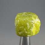 Lizardite Tumblestone ~23mm