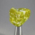 Lizardite Tumblestone ~31mm