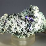 Malachite & Azurite (Silver Hill, Arizona) ~77mm