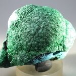 Malachite & Chrysocolla Mineral Specimen ~55mm