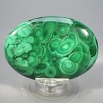 Malachite Palmstone (Extra Grade) ~70x50mm