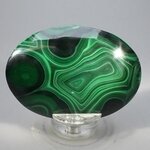 Malachite Palmstone (Extra Grade) ~70x50mm