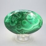 Malachite Palmstone (Extra Grade) ~70x50mm