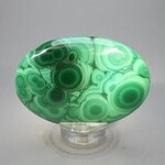 Malachite Palmstone (Extra Grade) ~70x50mm