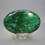 Malachite Palmstone (Extra Grade) ~70x50mm