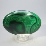 Malachite Palmstone (Extra Grade) ~70x50mm
