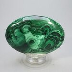 Malachite Palmstone (Extra Grade) ~70x50mm