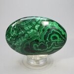 Malachite Palmstone (Extra Grade) ~70x50mm