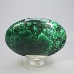 Malachite Palmstone (Extra Grade) ~70x50mm