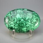 Malachite Palmstone (Extra Grade) ~70x50mm
