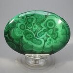 Malachite Palmstone (Extra Grade) ~70x50mm