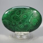 Malachite Palmstone (Extra Grade) ~70x50mm