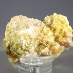 Mimetite Mineral Specimen ~50mm