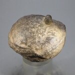 'Monster' Moqui Marble ~46mm