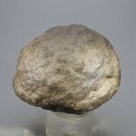 'Monster' Moqui Marble ~55mm