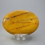 Mookaite Palmstone (Extra Grade) ~70x50mm