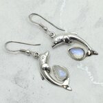 Moonstone 925 Silver Dolphin Drop Earrings ~29mm#