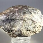 Moroccan Stony Meteorite ~60mm