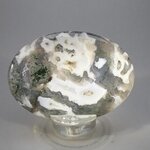 Moss Agate Palmstone (Extra Grade) ~70x50mm