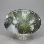 Moss Agate Palmstone (Extra Grade) ~70x50mm