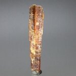 Orange Kyanite Healing Crystal ~50mm