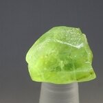 Peridot Healing Crystal ~17mm