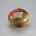Petrified Wood Extra Large Tumblestone ~43mm