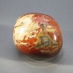 Petrified Wood Extra Large Tumblestone ~44mm