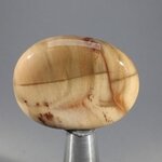 Petrified Wood Massage Stone ~37mm
