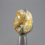 Picasso Jasper Tumblestone ~29mm