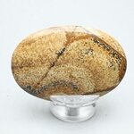 Picture Jasper Palmstone (Extra Grade)  ~60x40mm