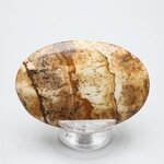 Picture Jasper Palmstone (Extra Grade)  ~60x40mm