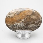 Picture Jasper Palmstone (Extra Grade)  ~60x40mm