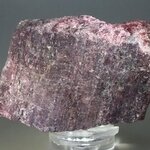 Pink Tourmaline Healing Mineral ~63mm