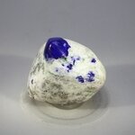 Polished Lapis Crystals on White Quartz ~31x38mm