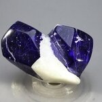 Polished Lapis Crystals on White Quartz ~32 x 48mm