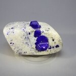 Polished Lapis Crystals on White Quartz ~35x60mm
