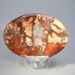 Poppy Jasper Palmstone (Extra Grade)  ~70x50mm